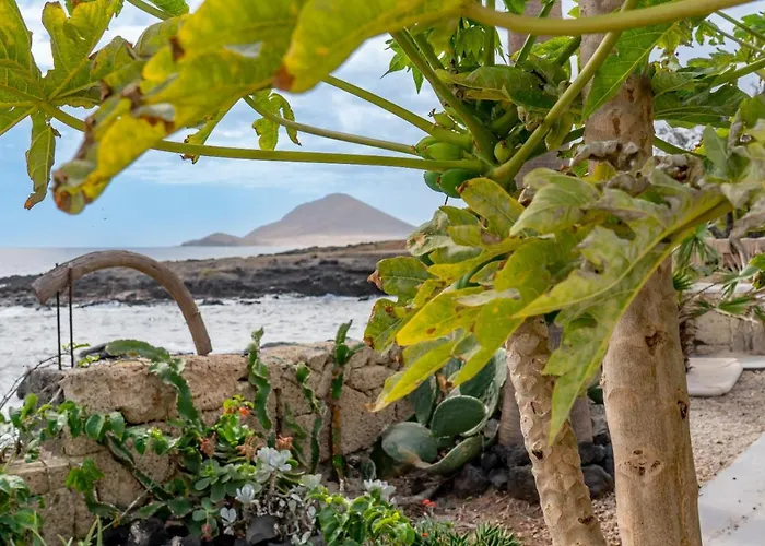 Little Paradise In El Medano 2