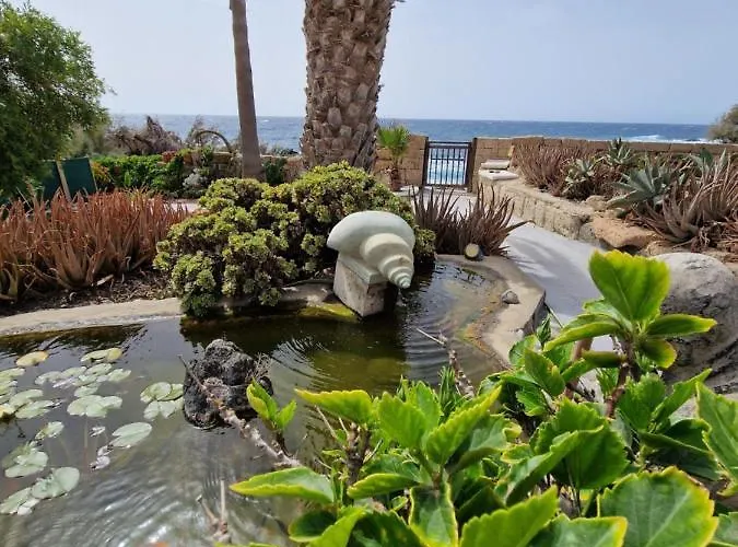 Little Paradise In El Medano 2