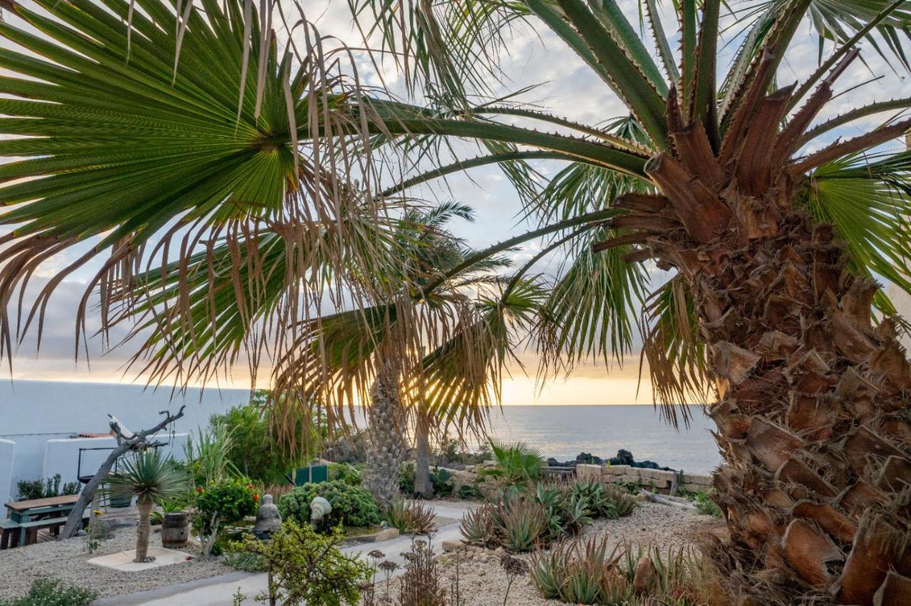Little Paradise In El Medano 2 Apartment *
